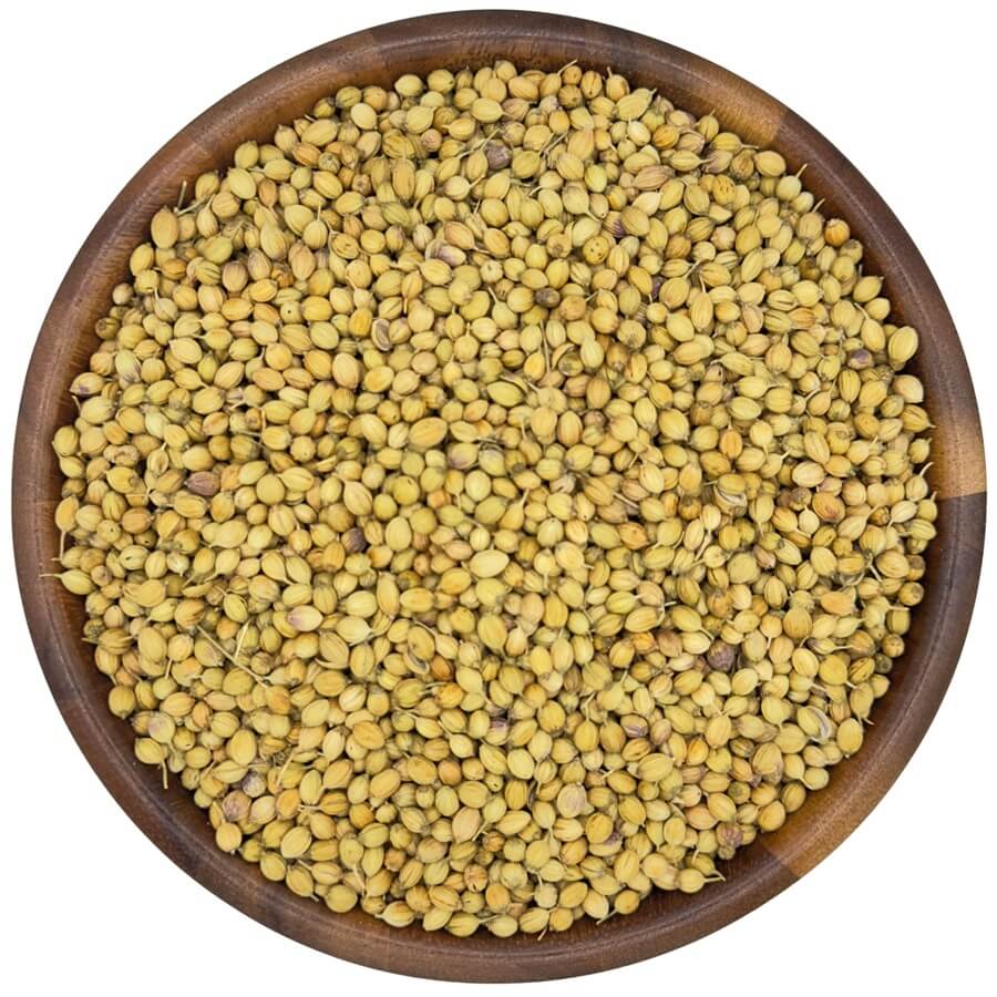 Organic Coriander Seeds