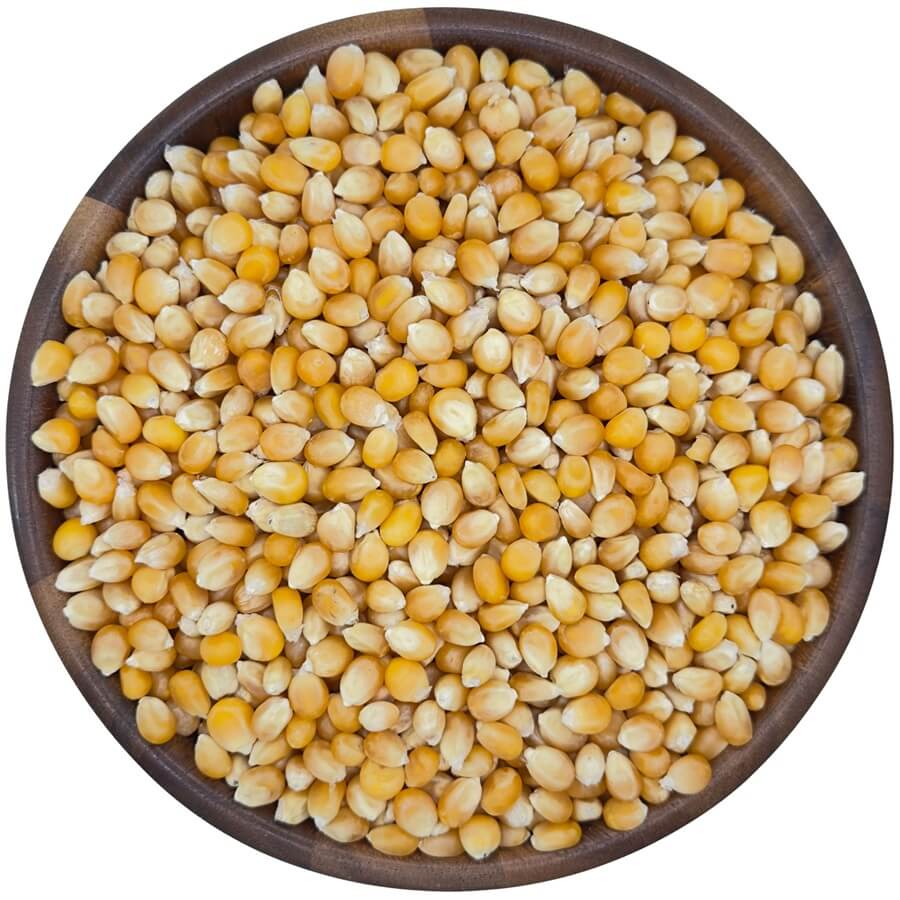Organic Corn Kernels