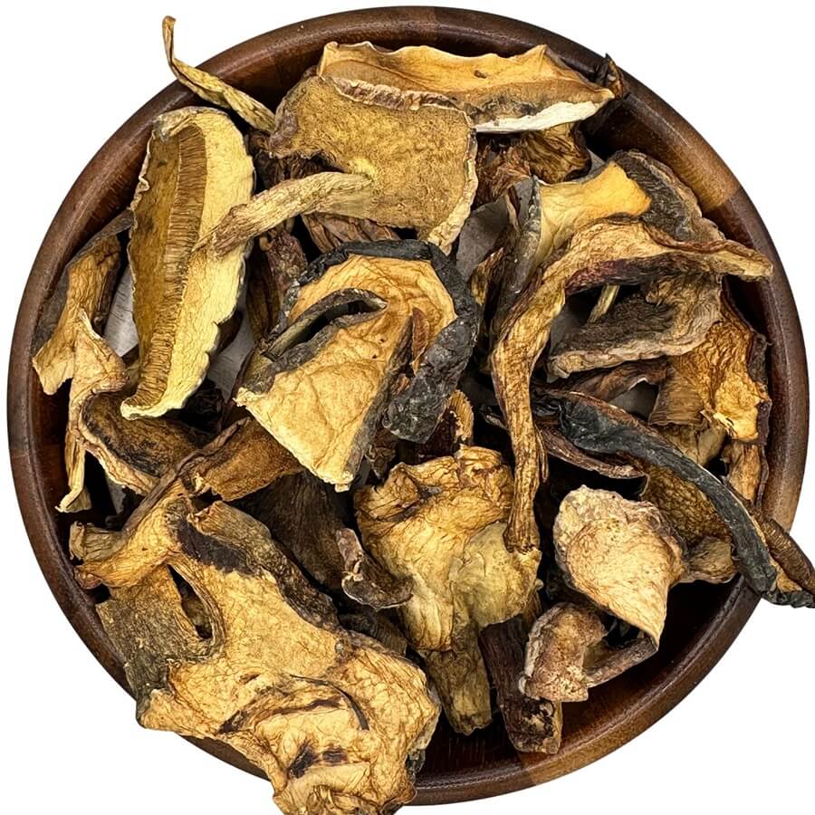 Organic Dried Boletus Mushroom