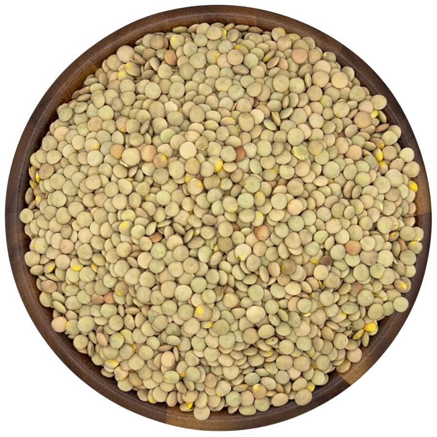 Organic Green Lentils