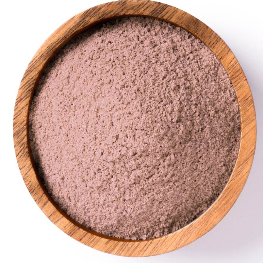 Organic Wild Blueberry Powder